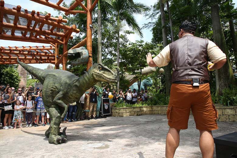 Visiting Jurrasic Park